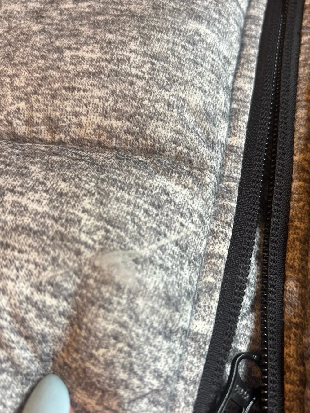 GAP runs big